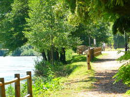 Chemin à la Sône